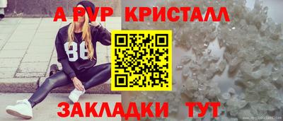 эйфоретик Гай