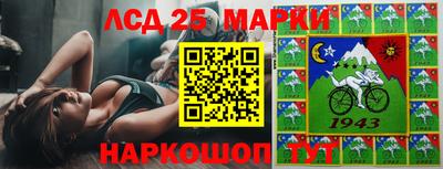 молекула духа Гатчина