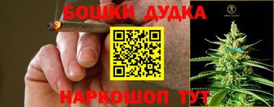 молекула духа Гатчина
